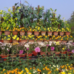 Complete Visitor Guide: Ekamra Kanan Botanical Gardens (RPRC), Bhubaneswar