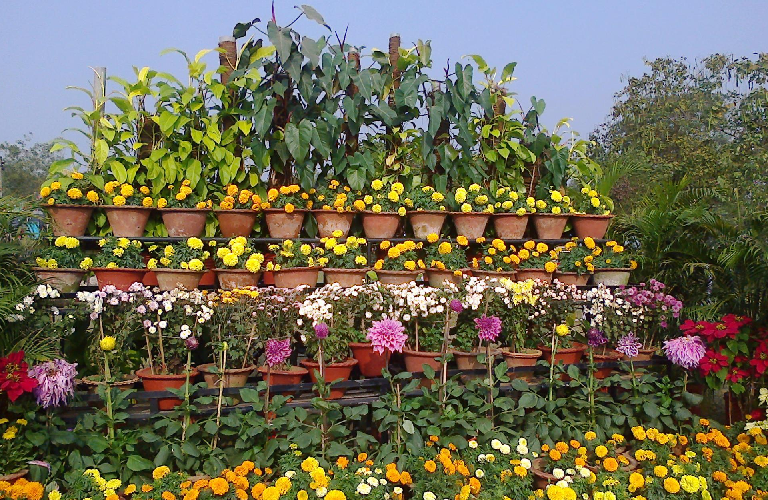 Complete Visitor Guide: Ekamra Kanan Botanical Gardens (RPRC), Bhubaneswar